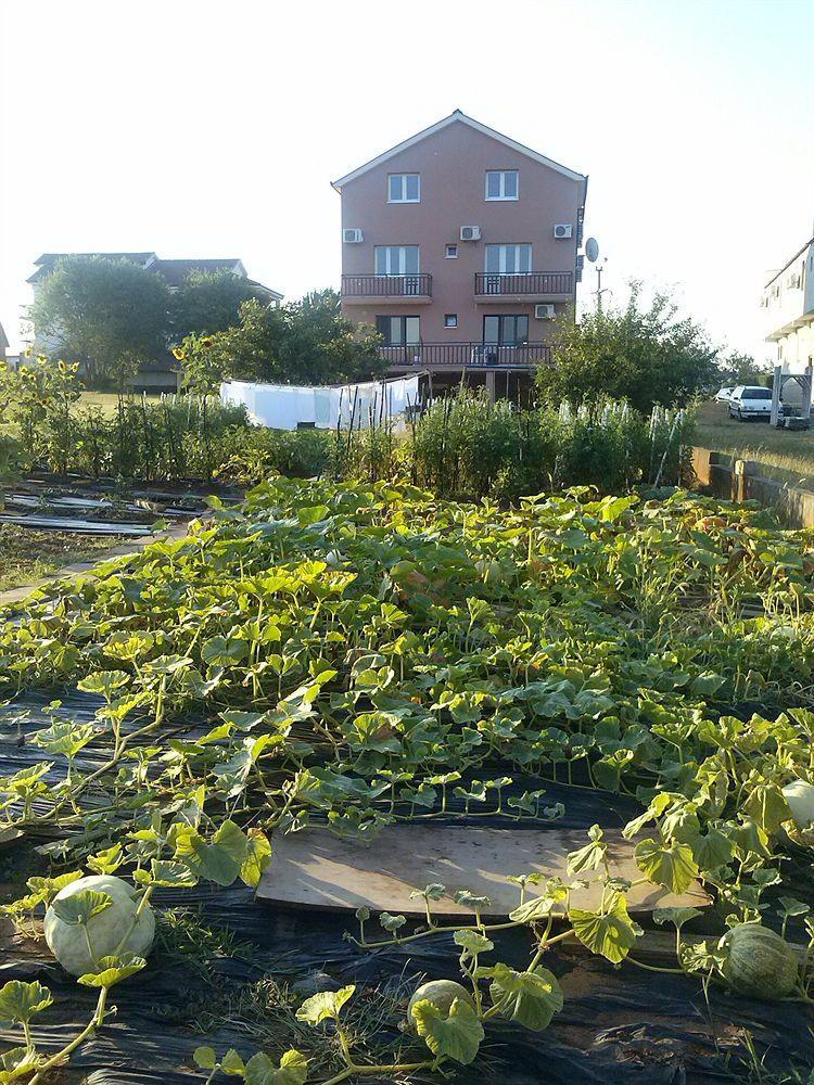 Pansion Ivanka Barac Medjugorje Exterior foto