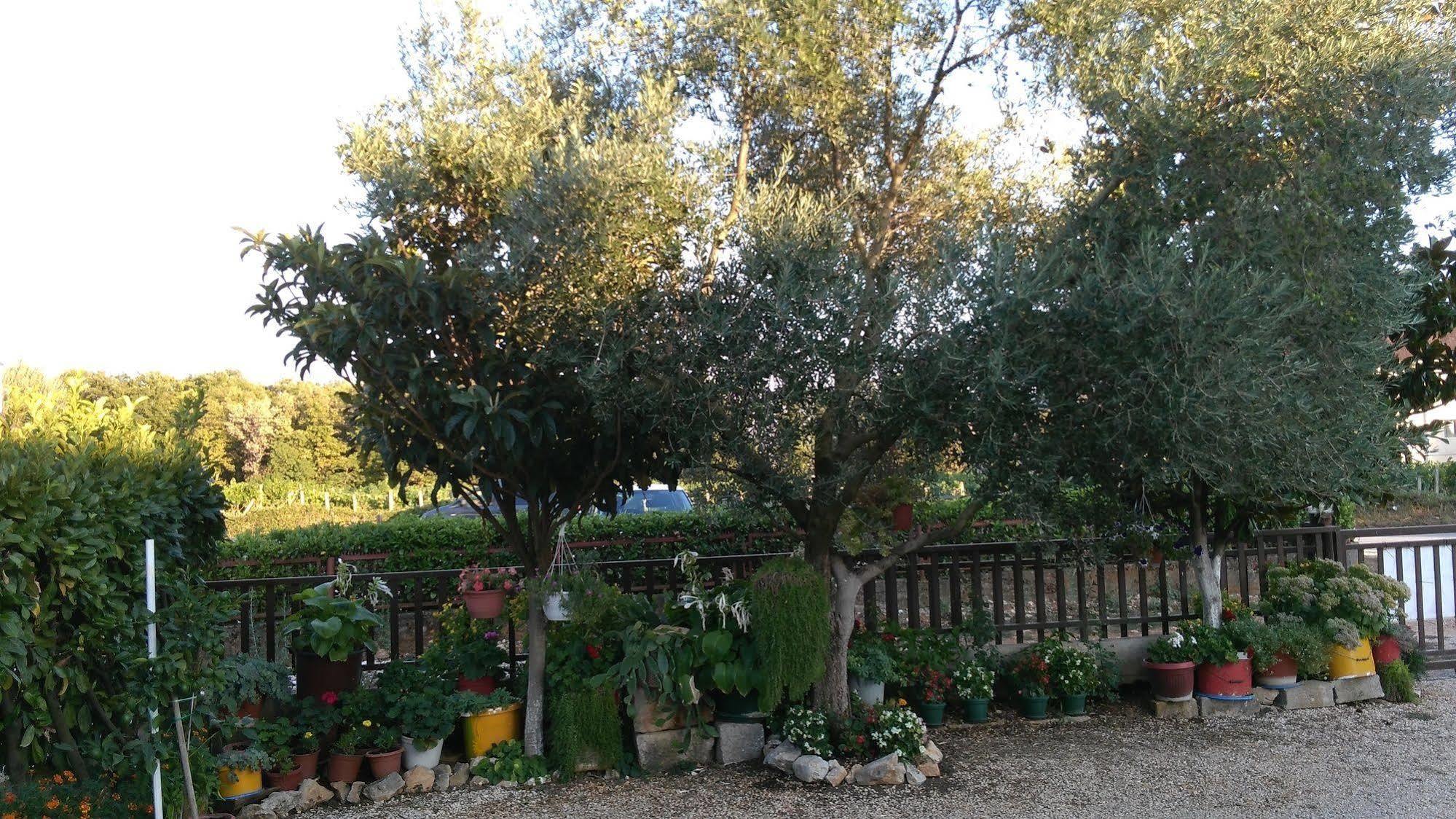 Pansion Ivanka Barac Medjugorje Exterior foto